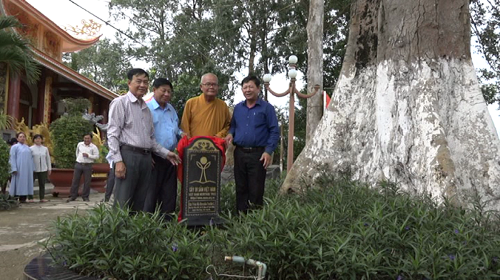 Vĩnh Hưng công nhận cây Di sản Việt Nam